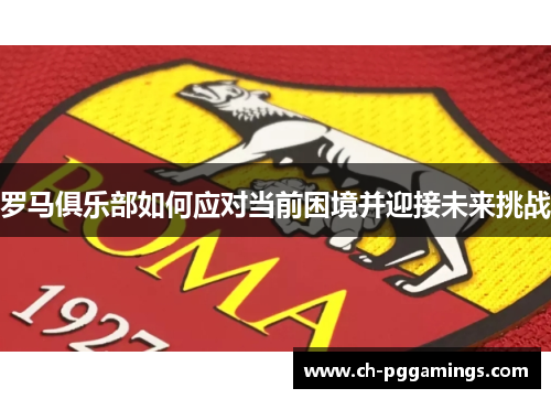 罗马俱乐部如何应对当前困境并迎接未来挑战