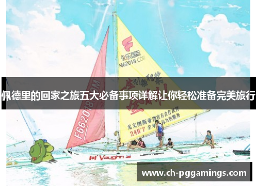 佩德里的回家之旅五大必备事项详解让你轻松准备完美旅行 佩德里的回家之旅五大必备事项详解让你轻松准备完美旅行