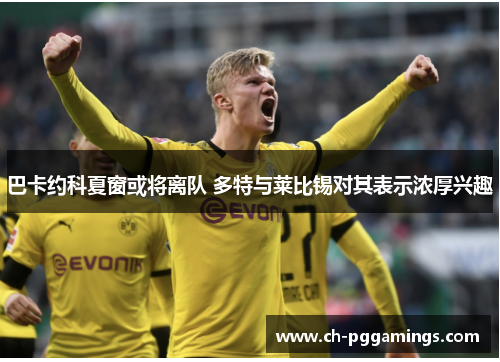 巴卡约科夏窗或将离队 多特与莱比锡对其表示浓厚兴趣