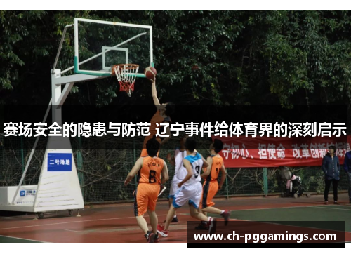 赛场安全的隐患与防范 辽宁事件给体育界的深刻启示
