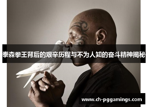 泰森拳王背后的艰辛历程与不为人知的奋斗精神揭秘
