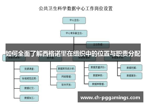 如何全面了解西格诺里在组织中的位置与职责分配