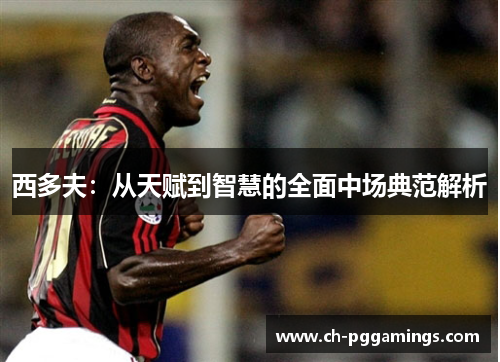 西多夫：从天赋到智慧的全面中场典范解析