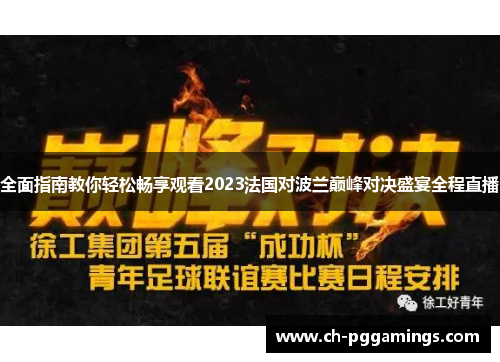 全面指南教你轻松畅享观看2023法国对波兰巅峰对决盛宴全程直播